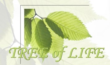 Obituary of St. Joseph Mercy Hospice