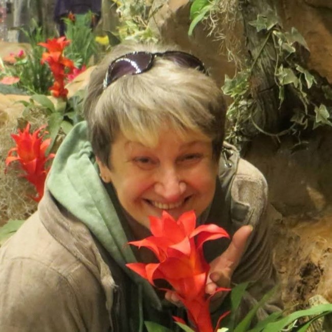 Obituary of Sandra Sharel Knuth