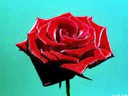 Obituary of Natalie Stoddard