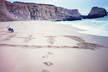 Obituary of David J. Martinez