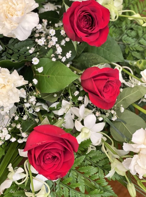 Obituary of Richard Shea Gillies