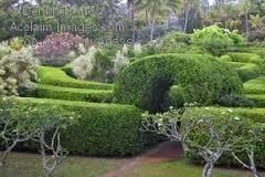 Obituary of Borah Mae Bender