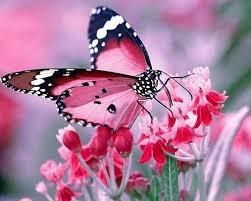 Obituary of Caroline Marie Thomson