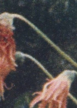 Henry "Hank" Siebert Obituary Fresno, CA