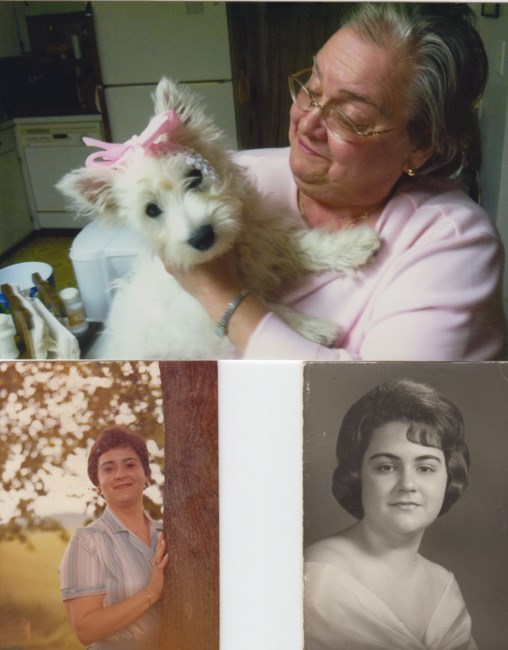 Obituary of Donna Funkhouser Simmons