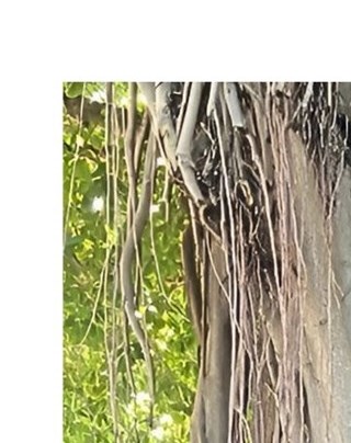 Vincent Furfaro Obituary - Montrose, NY