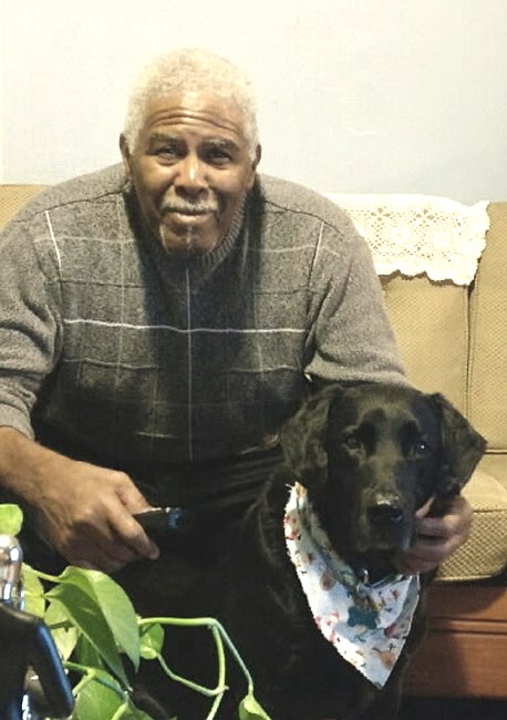 Obituary of David Pascal Seaton Thomas