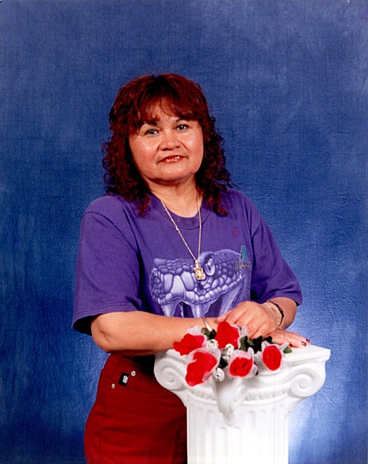 Obituary of Josefina Herlinda Villa Castro