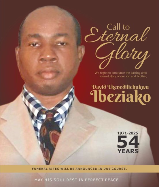 Obituary of David Ekenedilichukwu Ibeziako