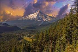 Obituary of Gerald M. Koenig