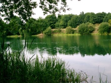 Avis de décès de Dorothy M. Lind