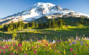 Obituary of Eiraj Fred Sayyah