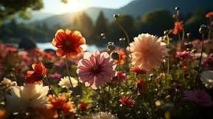 Avis de décès de Chester Glenn Paul