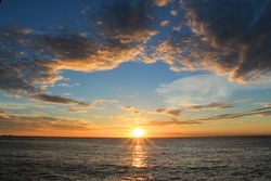 Obituary of Mrs. Betty Virginia Sullivan