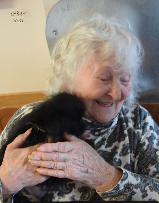 Obituary of Adina (Krebel) Petzak