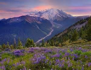 Obituary of Bertram R Pass MD