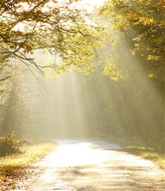 Obituary of Rodney Oliver Carlson