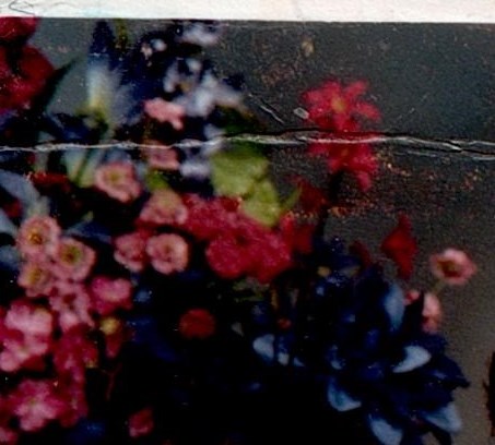 Helen Reece Obituary - Charlotte, NC