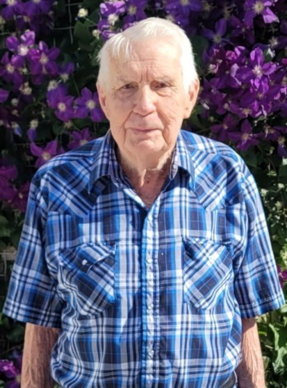 Obituary of Donald J Cerny