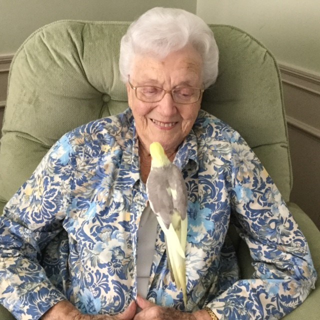 Obituary of Barbara Gray Faber