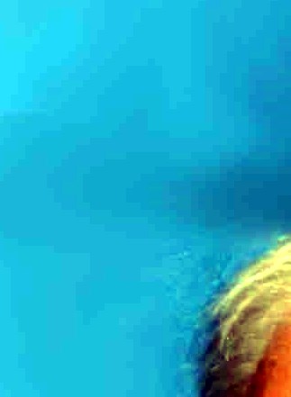 David J. Foley Obituary West Des Moines, IA