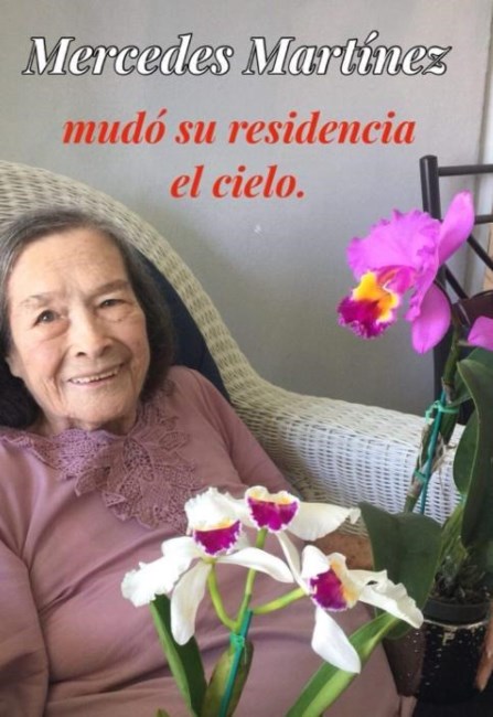 Obituary of Mercedes Salgado Torres