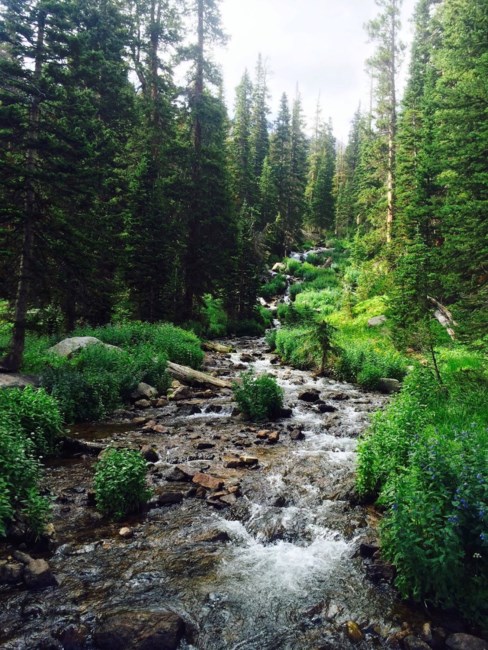 Obituary of Michael Mark Kolbet