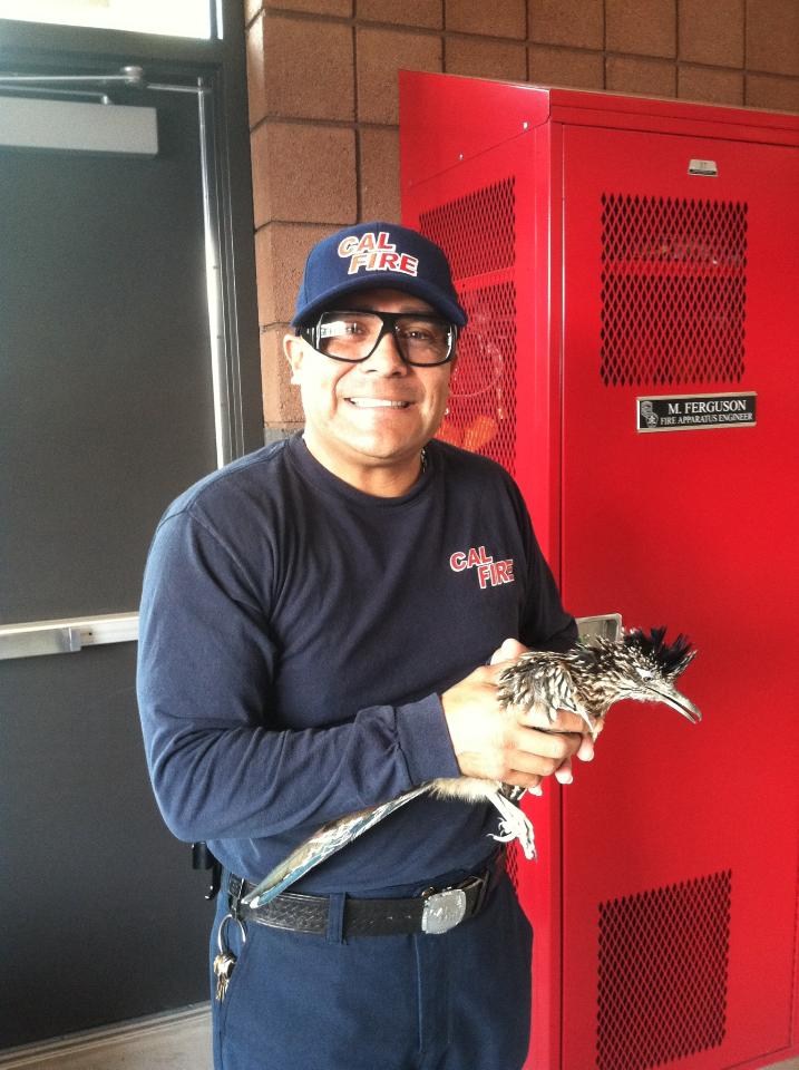 Obituary of Mr. Philip Hernandez