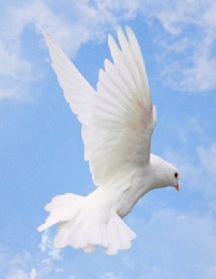 Obituary of Patricia Allene Franklin