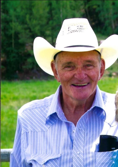 Obituary of Martin Julius Hammer Jr.