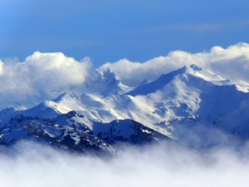 Obituary of Bryan Darrell Adkins