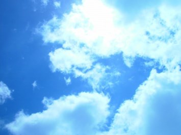 Obituary of Mary Ann Conti