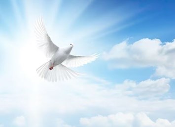 Obituary of Jacqueline Emma Mendez