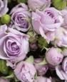 Obituary of Wanda Dell Blair