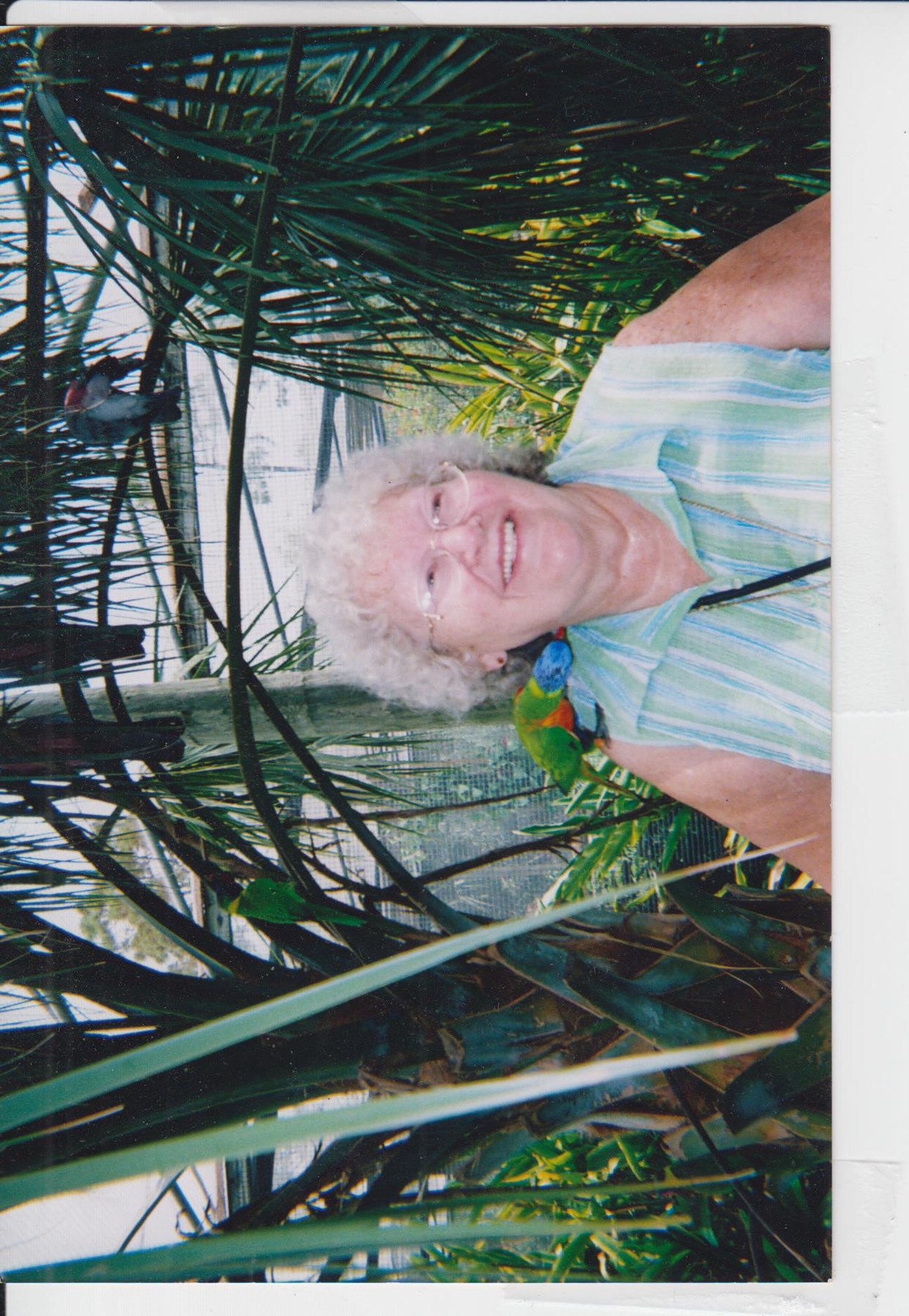 Obituary of Sophie Charlotte Ferchland