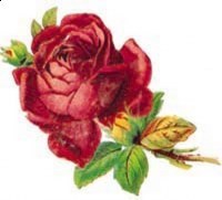 Obituary of Maxine A. Gregg