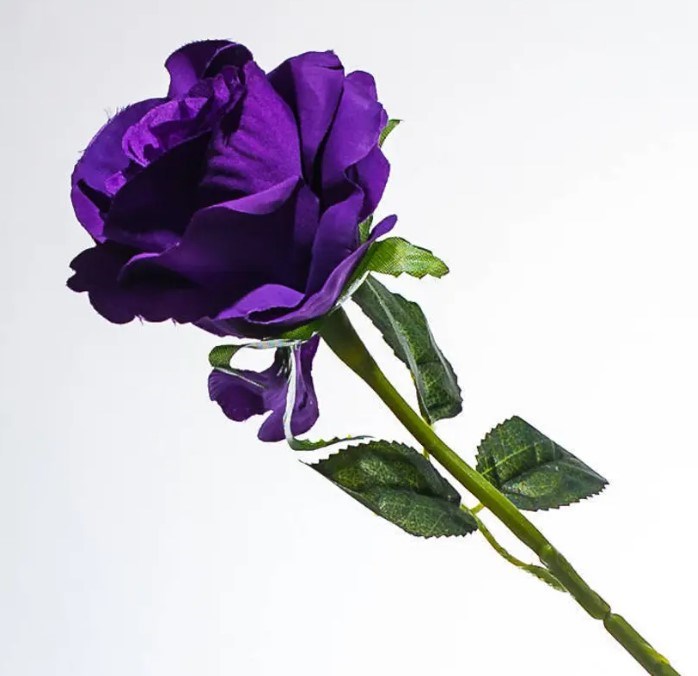 Obituary of Charlotte Ann Stock