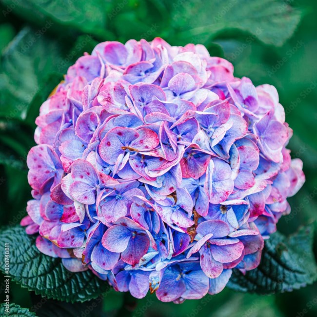 Obituary of Michelle Erickson