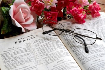 Obituary of Brenda Sue Whisenhunt