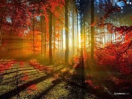 Obituary of Jose Hinojosa