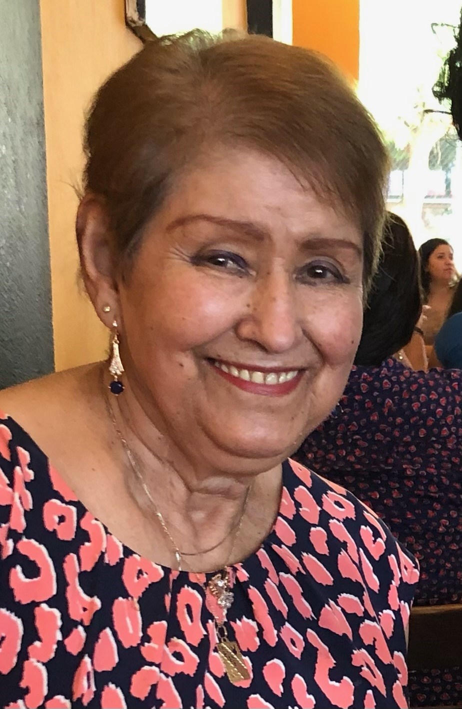 Ofelia Rueda Obituary Woodside, NY