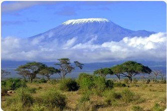 Obituary of Jennie Flores