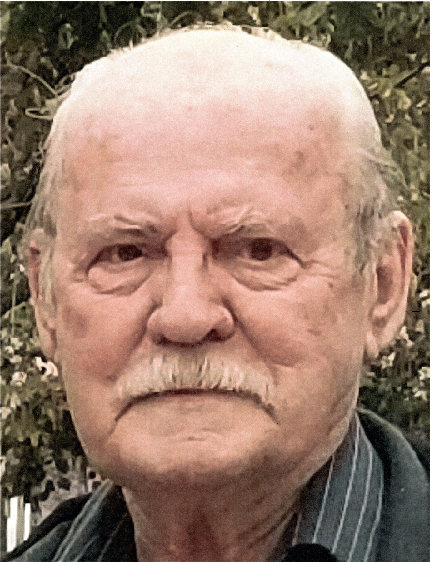 Silva Faria Funeral Home Obituaries - 0teiylq