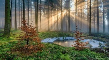 Obituary of Gregory G. Smith