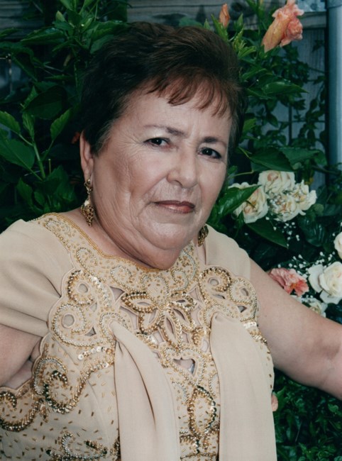 Obituary of Olivia Salinas