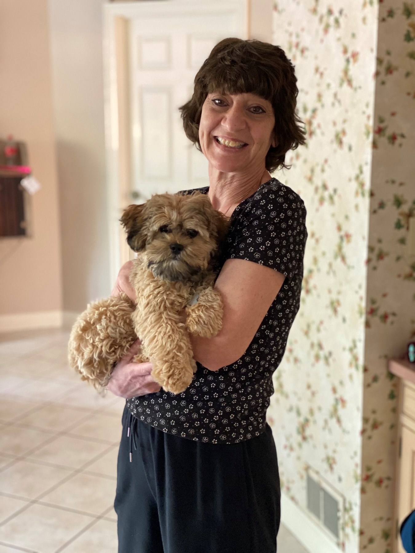 Obituary of Virginia DiBartolomeo