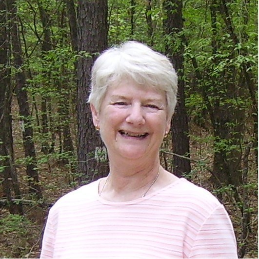 Obituary of Gail Ann Bolin