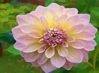 Obituary of Lois Jean Majewski