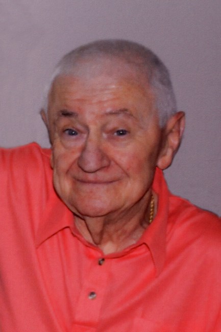Obituary of Peter Budo