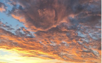 Obituary of Linda Lee Masters